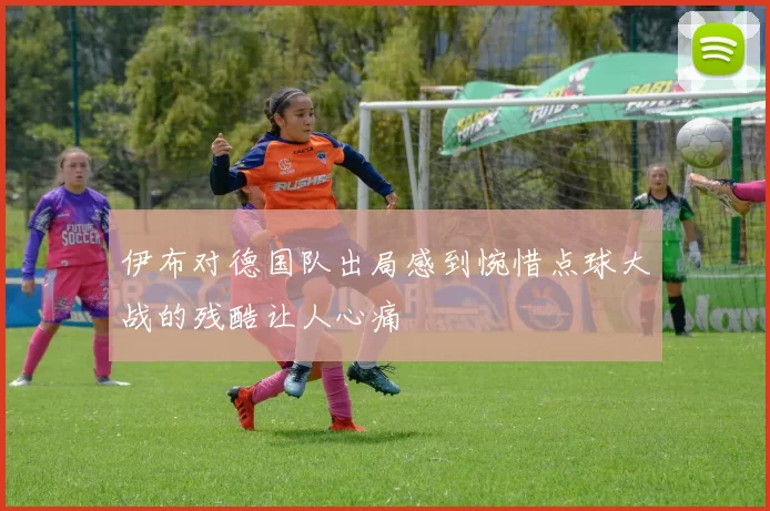伊布对德国队出局感到惋惜点球大战的残酷让人心痛